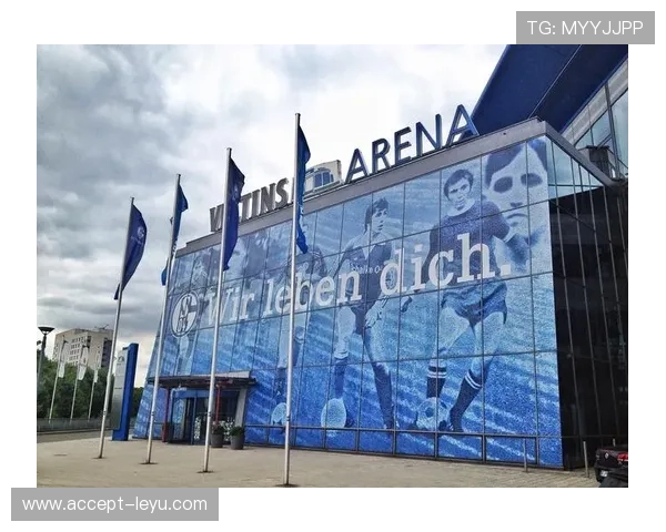 图卢兹俱乐部:从传统足球豪门到崛起的新势力全景分析 图卢兹俱乐部:从传统足球豪门到崛起的新势力全景分析