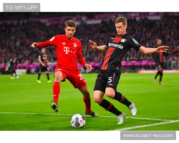 拜耳勒沃库森最新动态球员转会与战绩全面解析