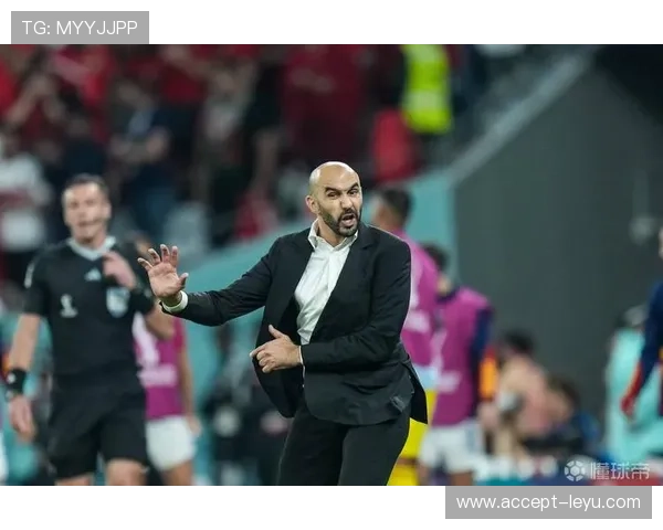 摩洛哥世界杯精彩表现引发全球热议 揭秘其背后的坚韧与战术智慧